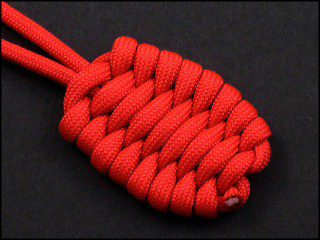 Trilobite Knot